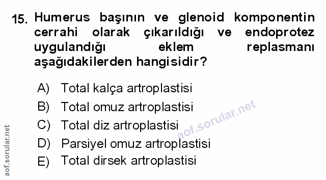 Soru 15