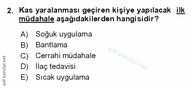 Soru 2