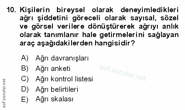 Soru 10