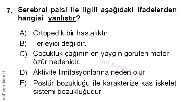Soru 7