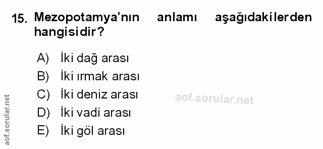 Soru 15