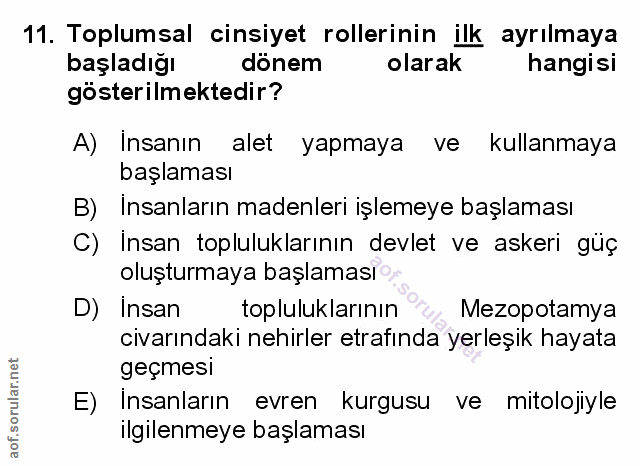 Soru 11