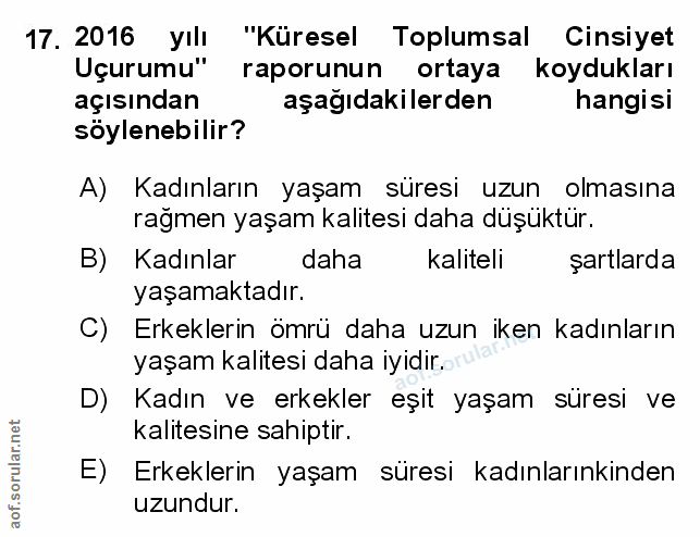 Soru 17
