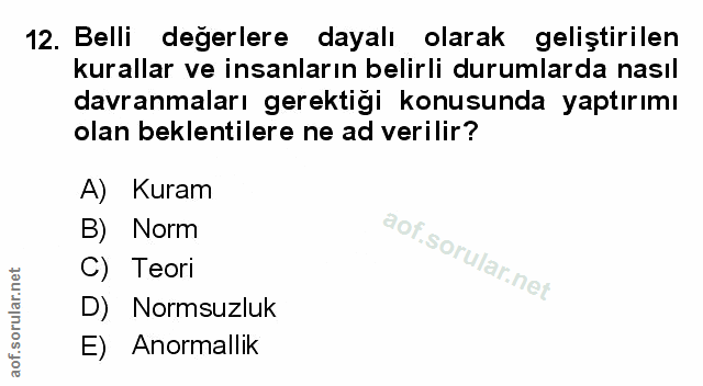Soru 12