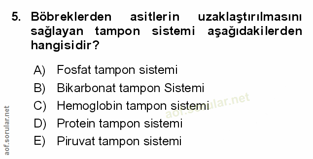 Soru 5