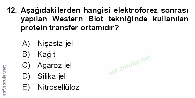 Soru 12