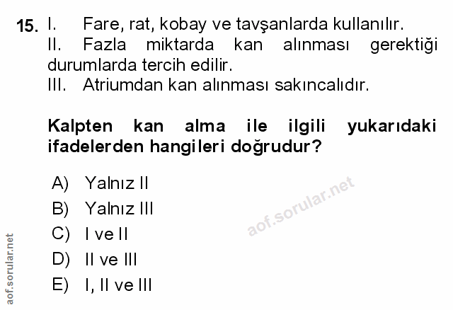 Soru 15