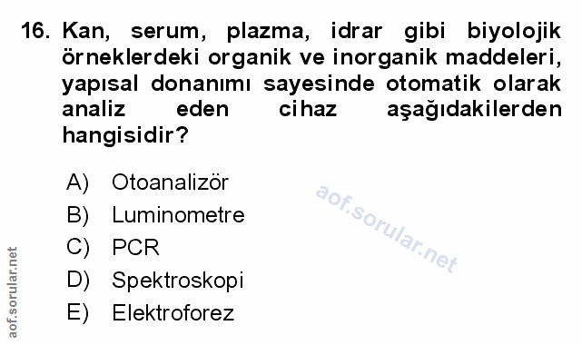 Soru 16