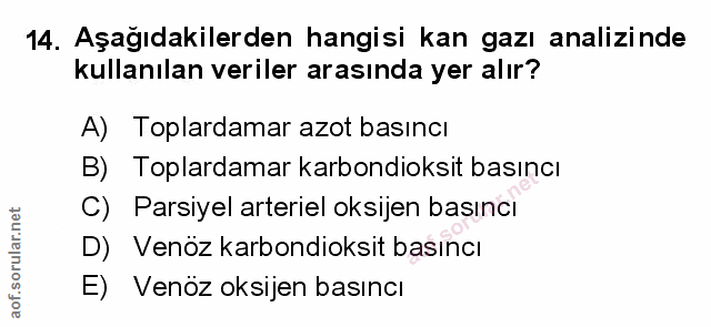 Soru 14