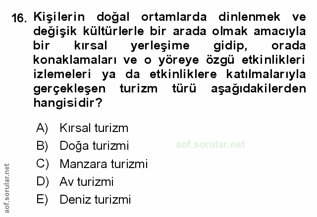 Soru 16