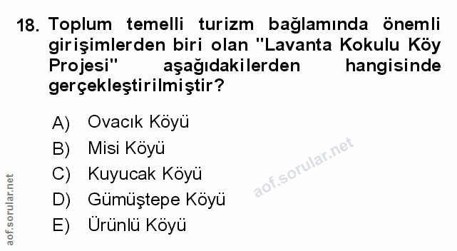 Soru 18