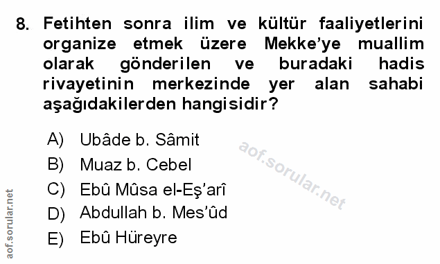 Soru 8