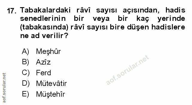 Soru 17