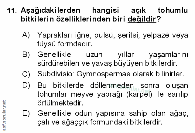 Soru 11