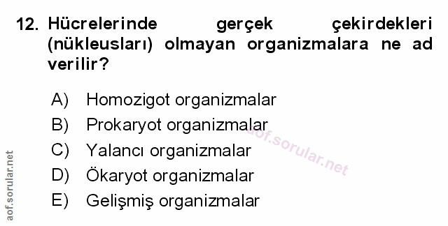 Soru 12