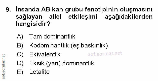 Soru 9