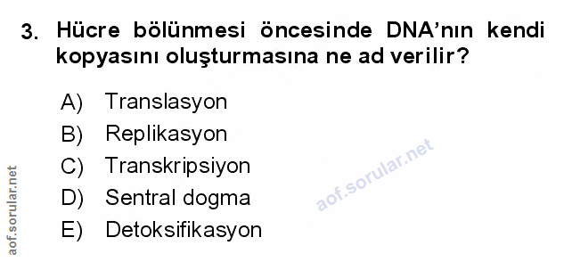 Soru 3