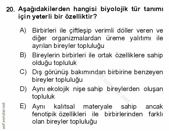 Soru 20