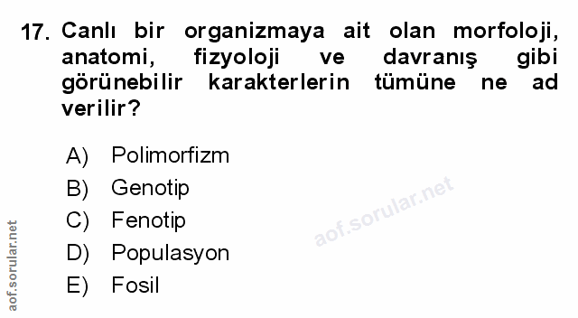Soru 17