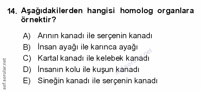 Soru 14