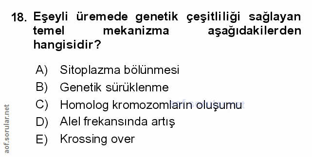 Soru 18