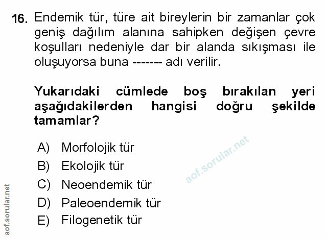 Soru 16