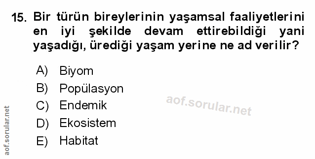Soru 15
