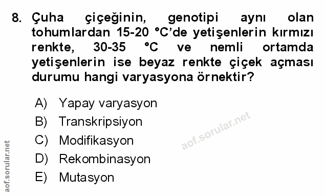 Soru 8