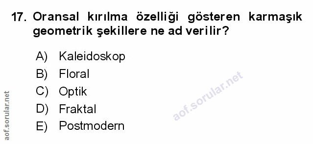 Soru 17