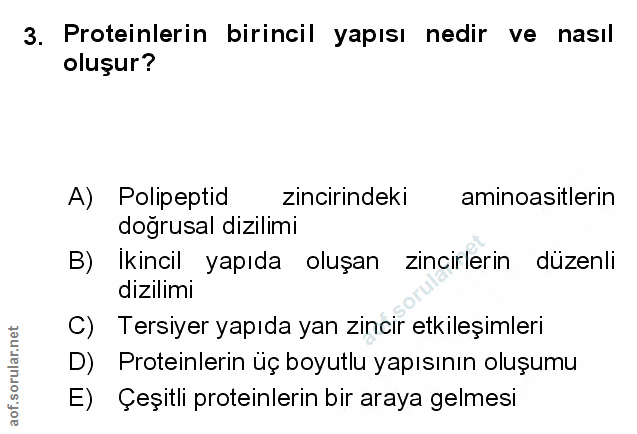 Soru 3