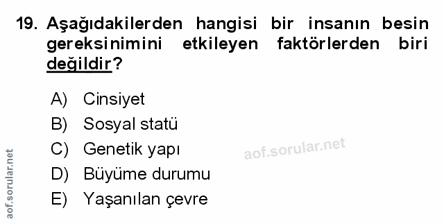 Soru 19