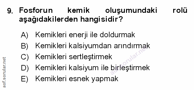 Soru 9