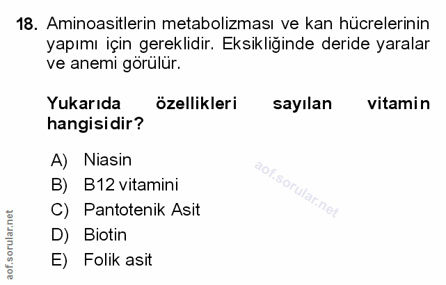 Soru 18