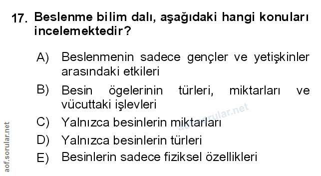 Soru 17