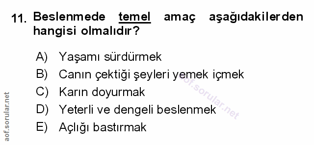 Soru 11