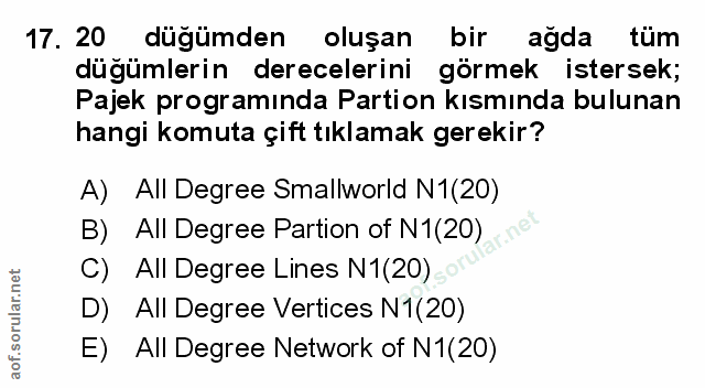 Soru 17