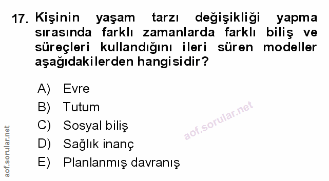 Soru 17
