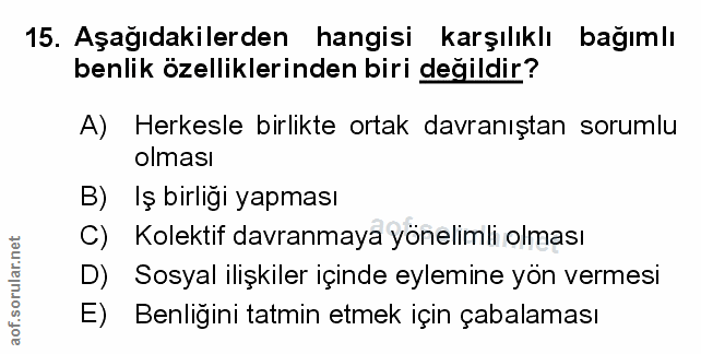 Soru 15
