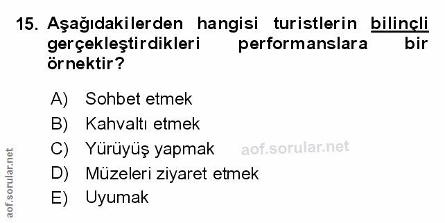 Soru 15