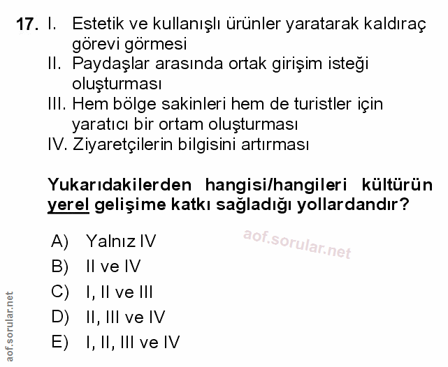 Soru 17