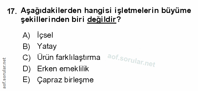 Soru 17