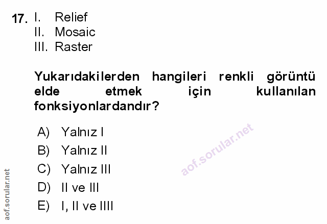 Soru 17