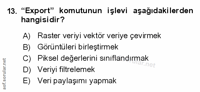 Soru 13