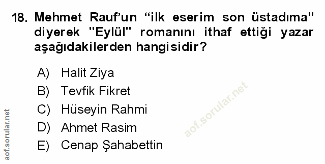 Soru 18