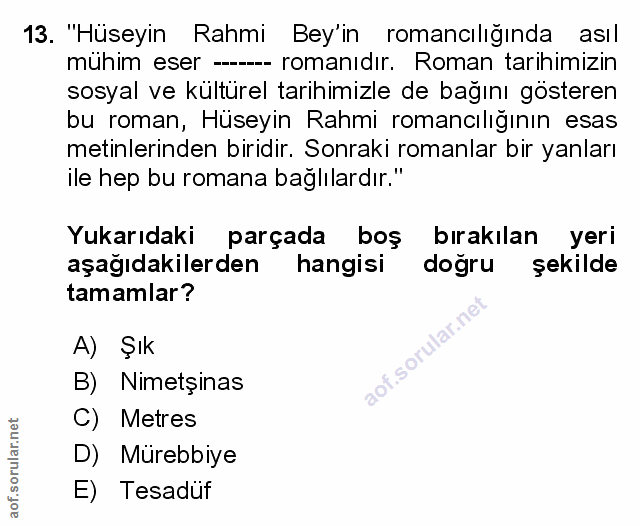 Soru 13