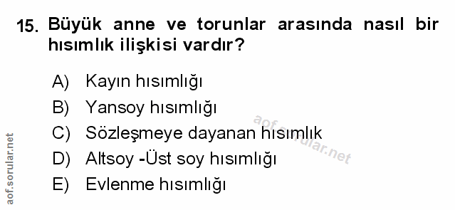 Soru 15
