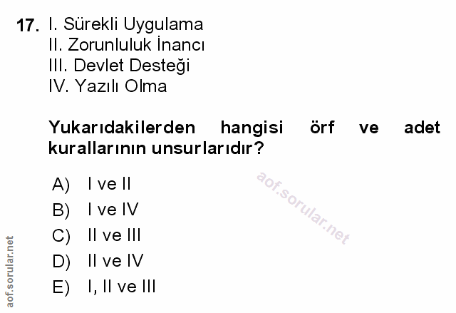 Soru 17