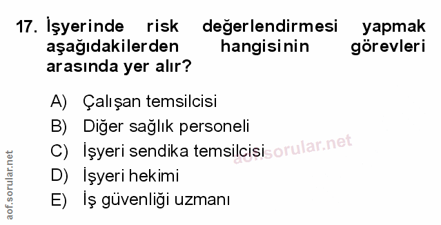 Soru 17