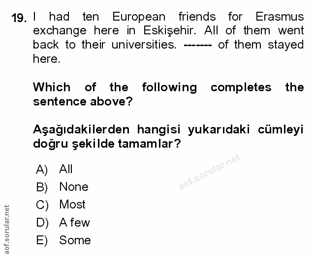 Soru 19