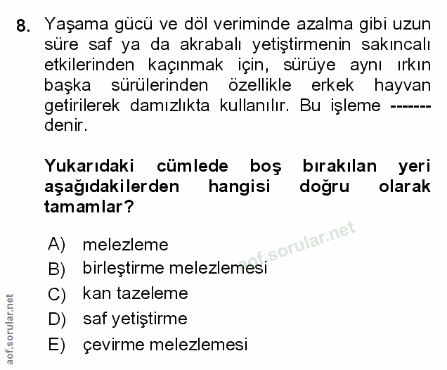 Soru 8